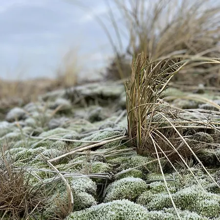 Pelzer Haus Atlantik *